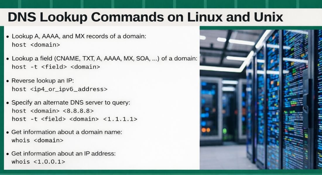 Linux Lookup DNS