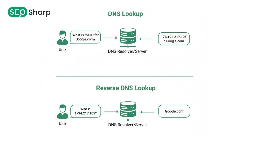 Reverse DNS Lookup Command