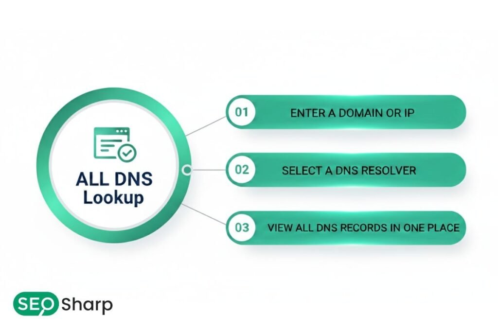 DNS TXT Lookup