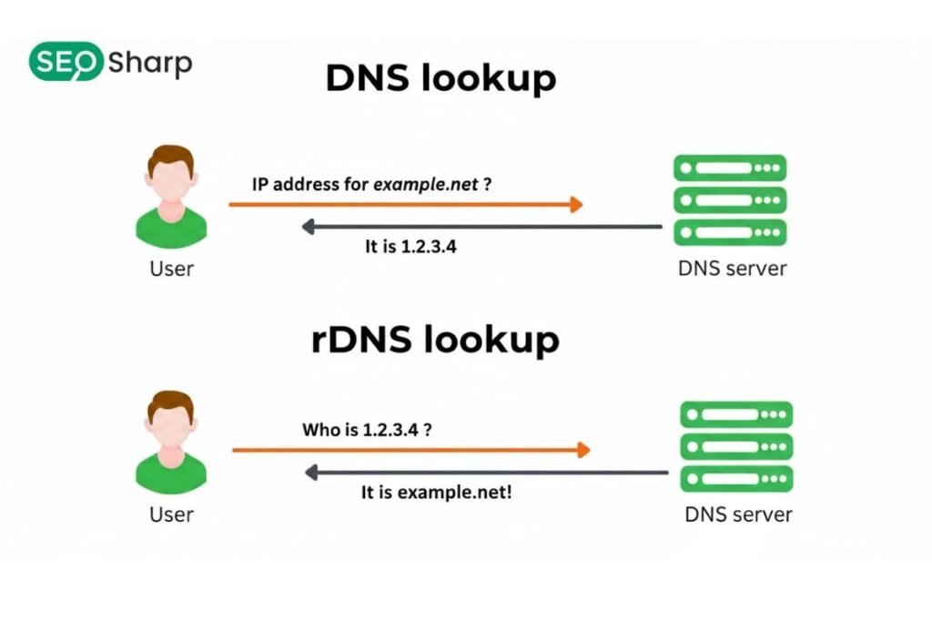 How to Find My DNS Server?
