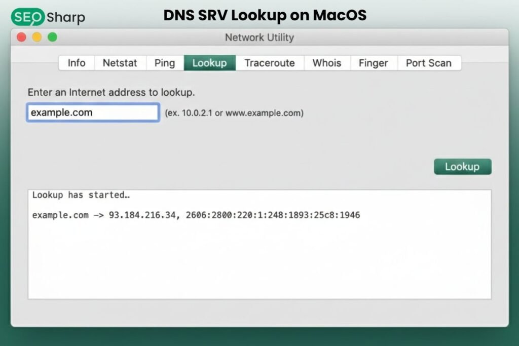 DNS SRV Lookup