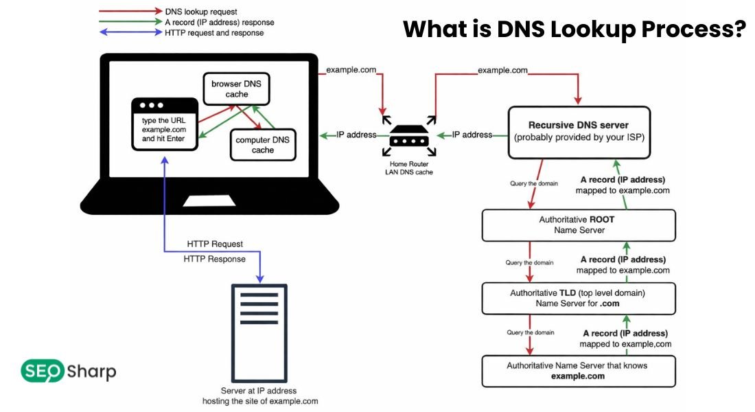 DNS Lookup
