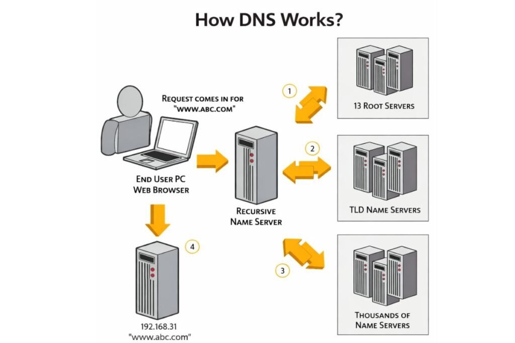 DNS Lookup