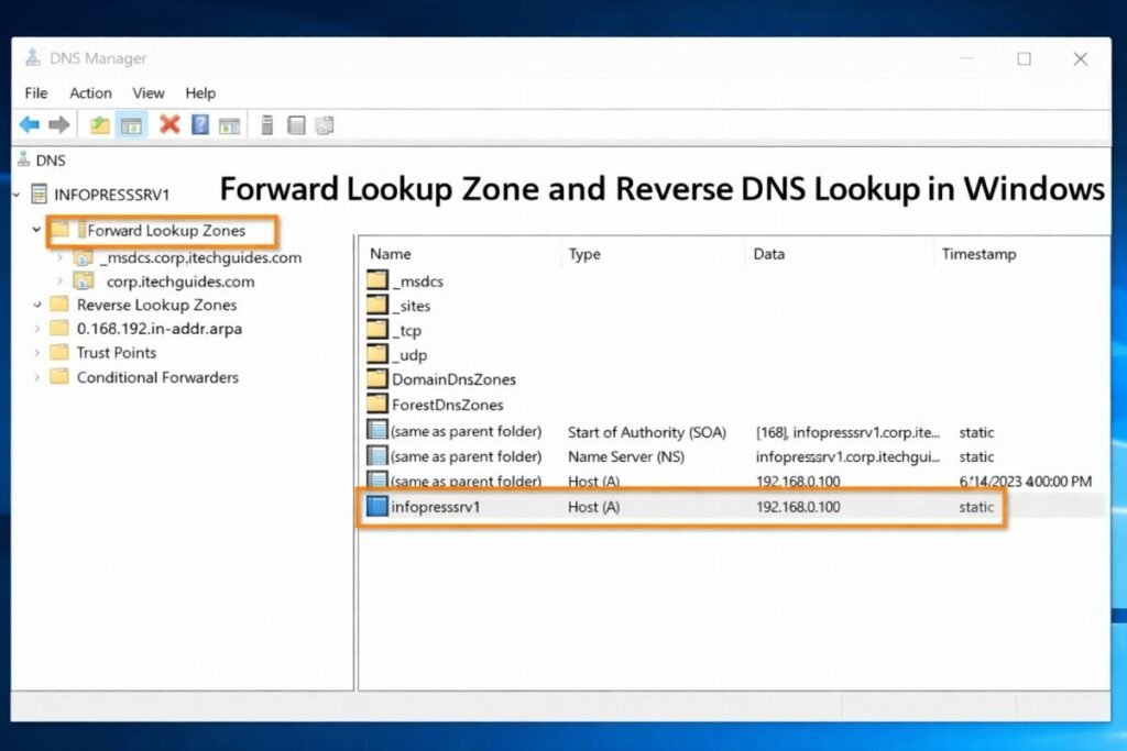 Windows DNS Lookup
