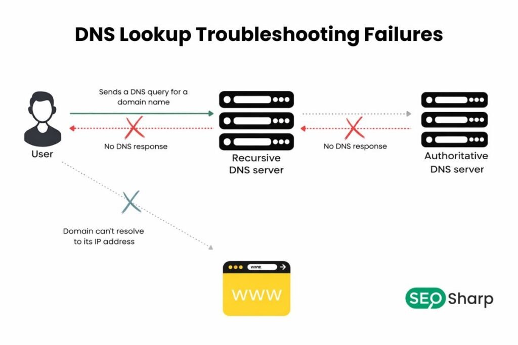 Cloudflare DNS Lookup